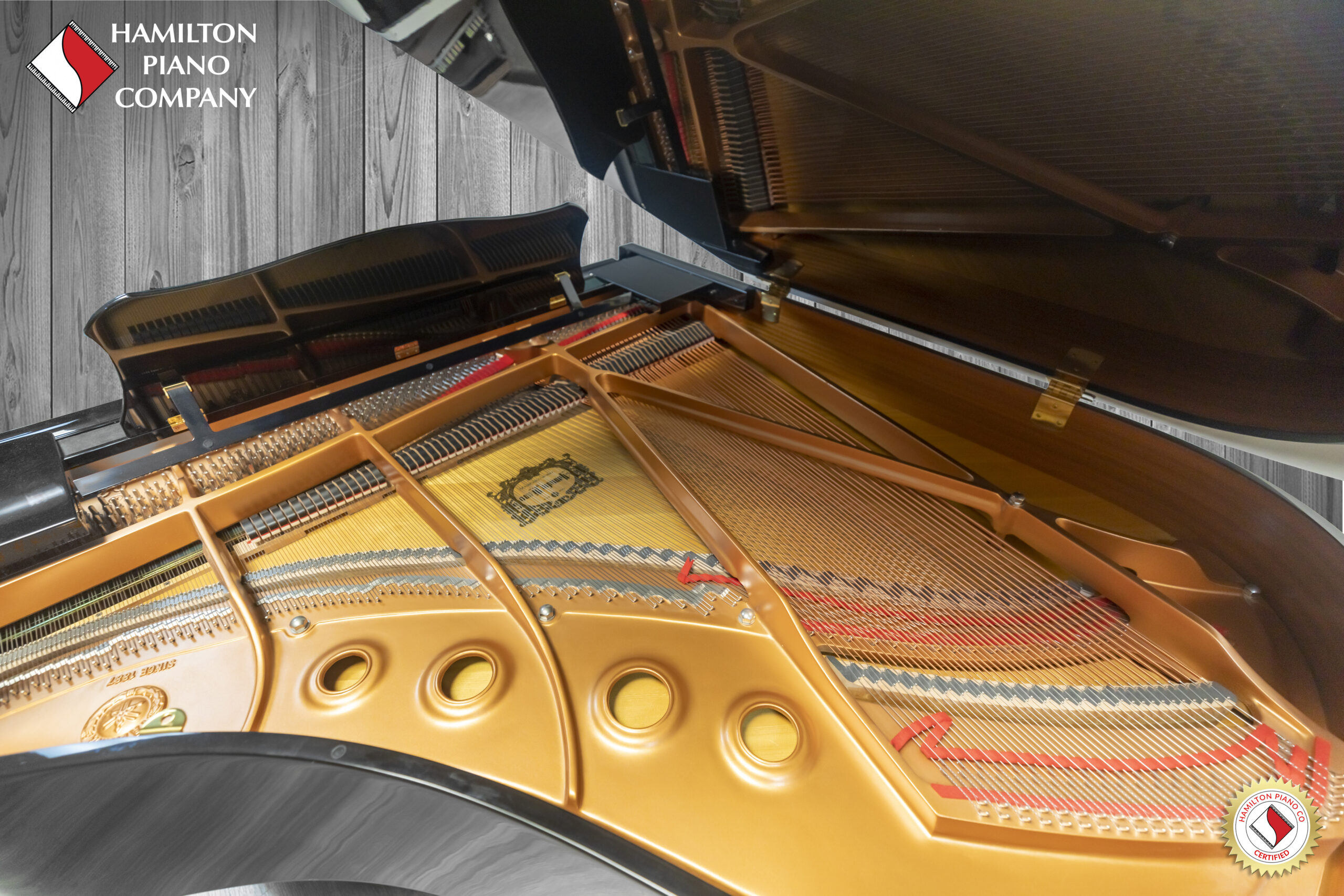 Yamaha DC2A Baby Grand Piano with a player system from Hamilton Piano Company in West Palm Beach