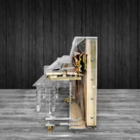 a custom built acrylic piano by hamilton piano company