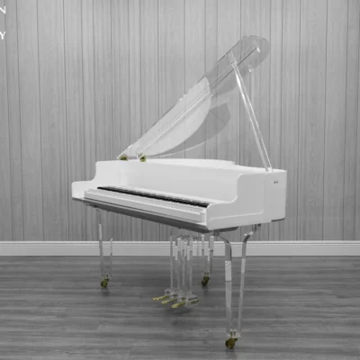 Roland FP-30X digital piano in a white and transparent acrylic shell with full-size weighted keys and modern design