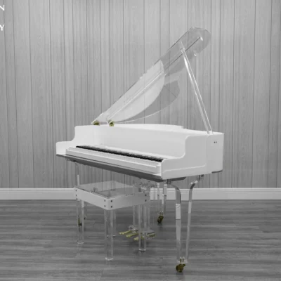 Roland FP-30X digital piano in a white and transparent acrylic shell with full-size weighted keys and modern design