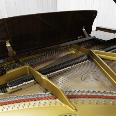 Interior of Petrof baby grand piano in high polish mahogany finish, focusing on the harp, strings, and dampers.