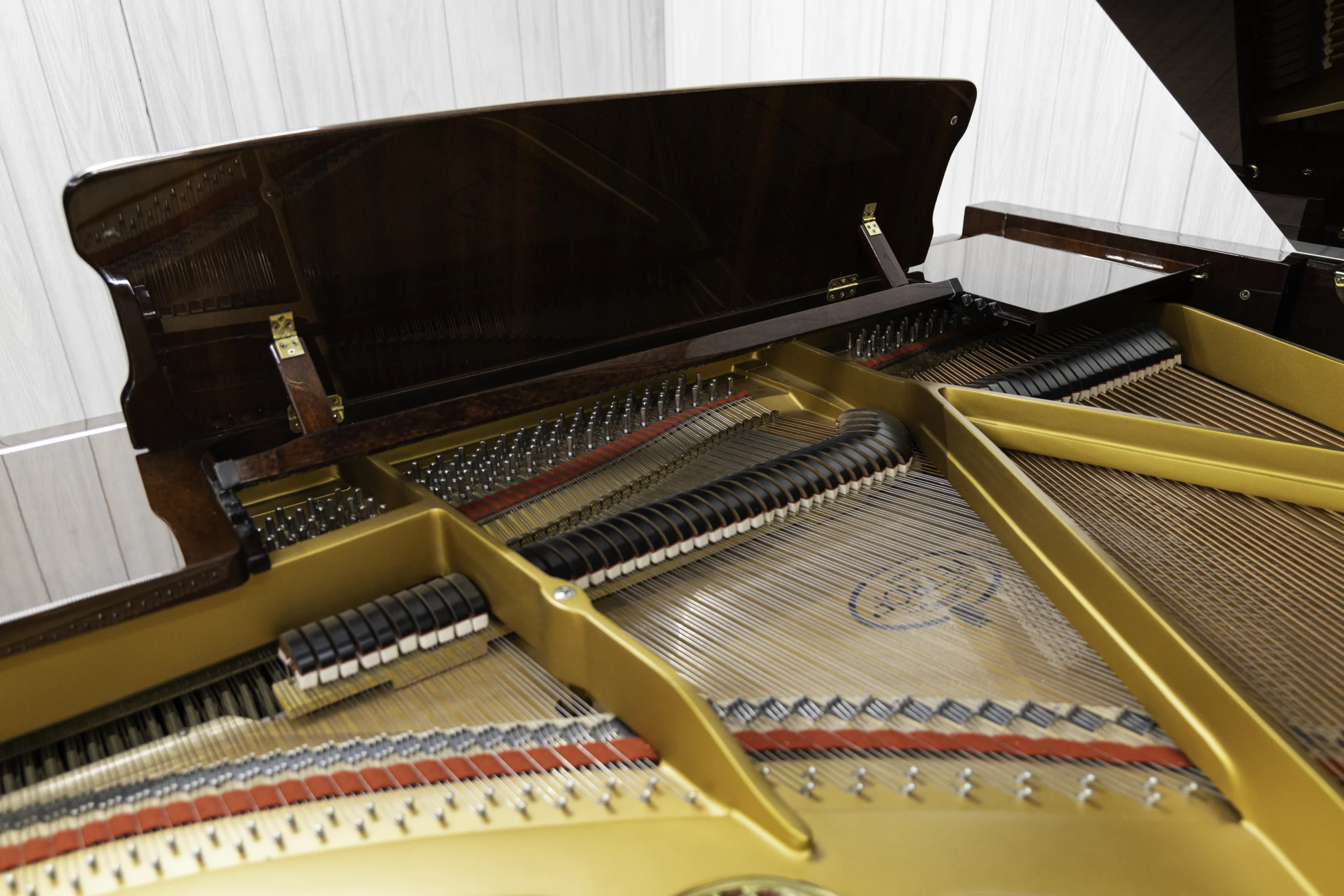 Interior of Petrof baby grand piano in high polish mahogany finish, focusing on the harp, strings, and dampers.