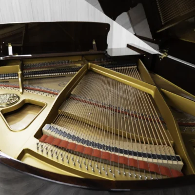 Interior of Petrof baby grand piano in high polish mahogany finish, focusing on the harp and strings.
